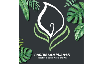 Caribbean Plants Ltd.