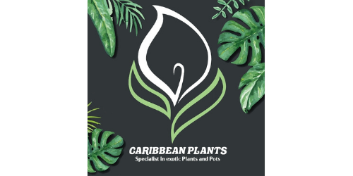 Caribbean Plants Ltd.